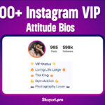 200+ Top Instagram Vip Bio For Instagram, Stylish & Attitude 2025