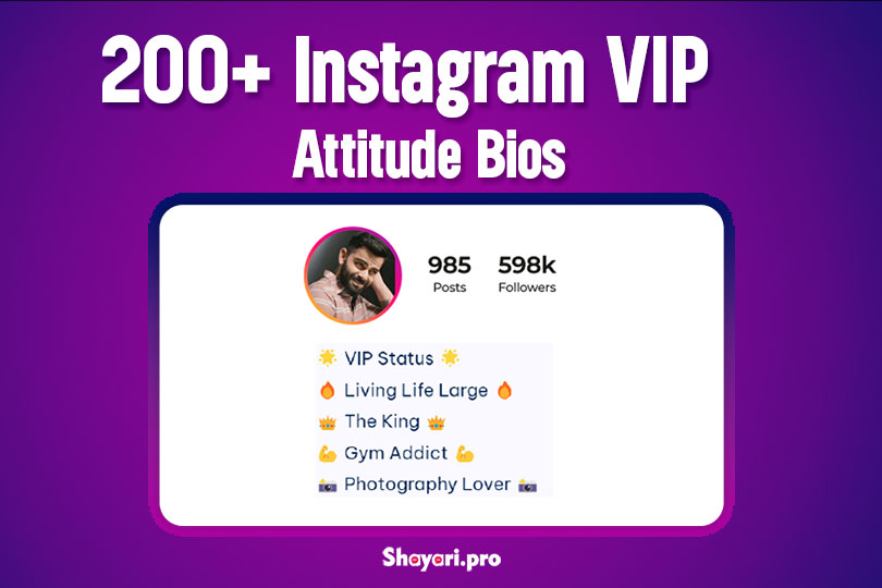 200+ Top Instagram Vip Bio For Instagram, Stylish & Attitude 2025