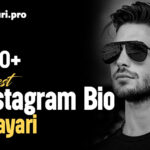 Instagram Bio Shayari