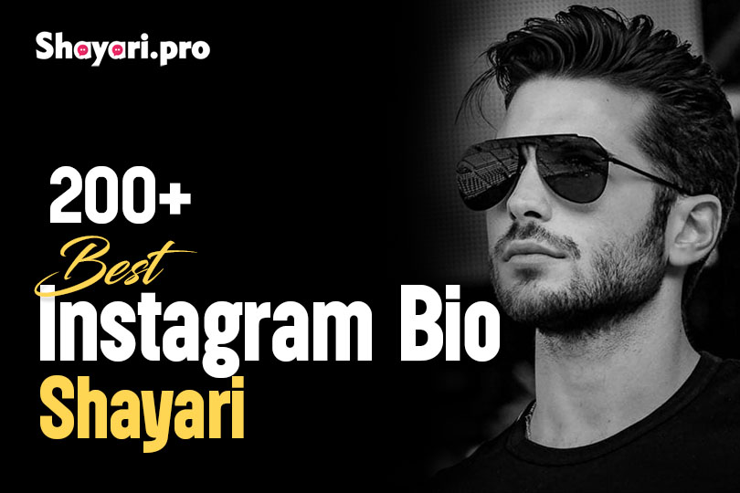 200+ Best Instagram Bio Shayari | Lifestyle, Love, Motivation